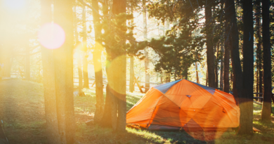 Why Camping Is the Best Outdoor Activity