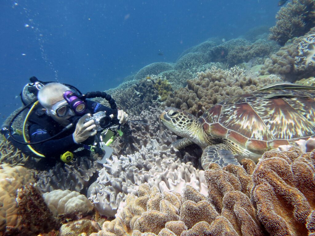 What Diving Equipment Should I Buy?