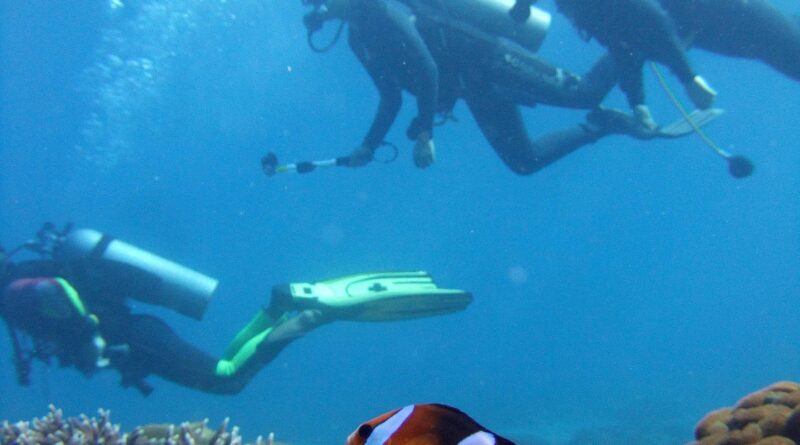 What Diving Equipment Should I Buy?