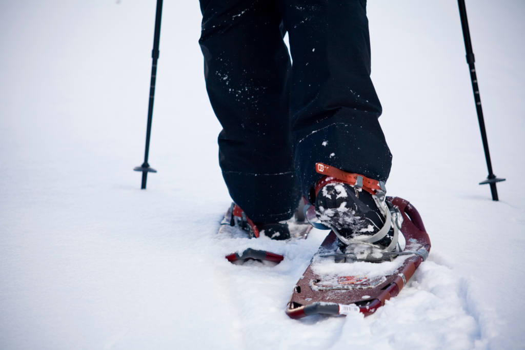 Focus on Olympic Winter Games