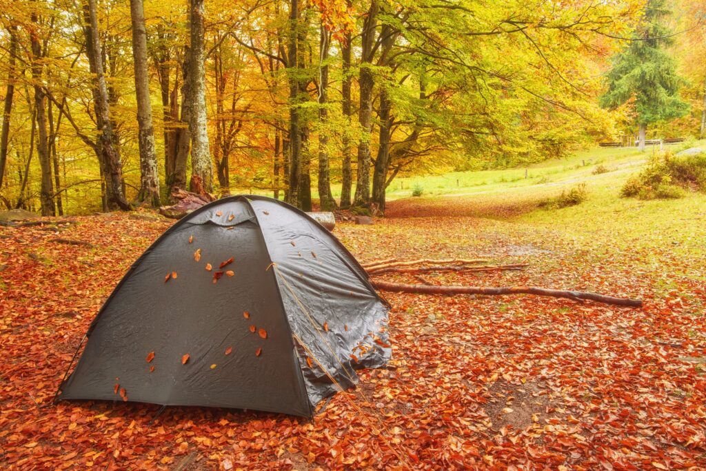 Why Camping Is the Best Outdoor Activity