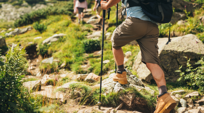 Best Hiking Tips for Beginners