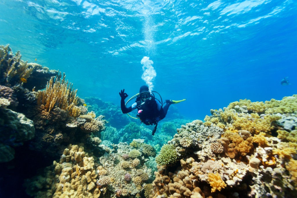 Best Scuba Diving Tips for Beginners 101