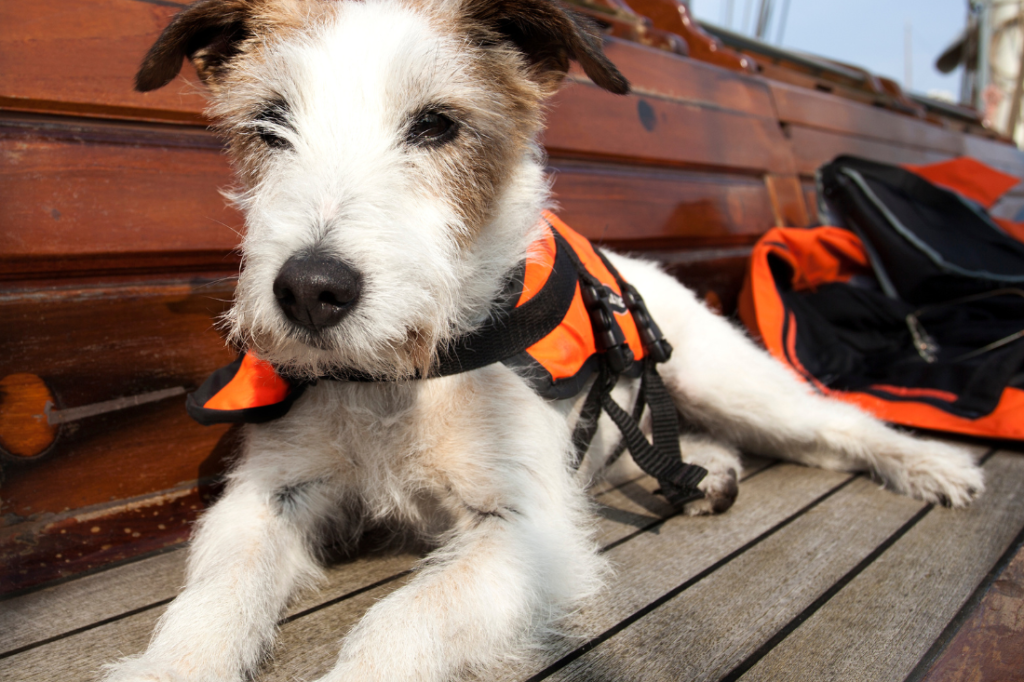 gloves, compass, sunscreen, waterproof jacket